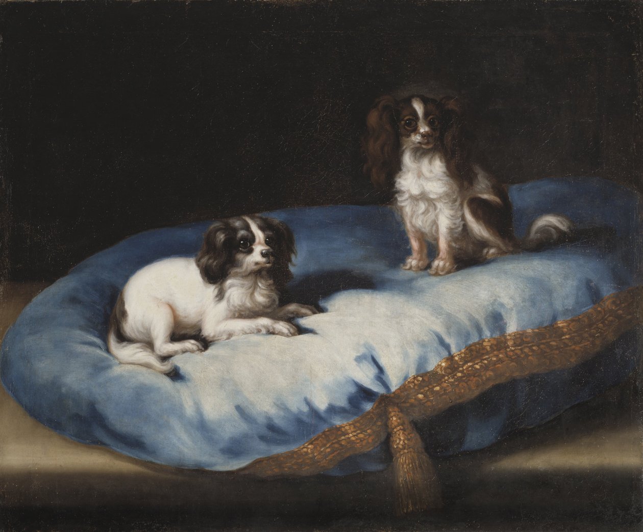 Zwei kleine Hunde von David Klöcker Ehrenstrahl