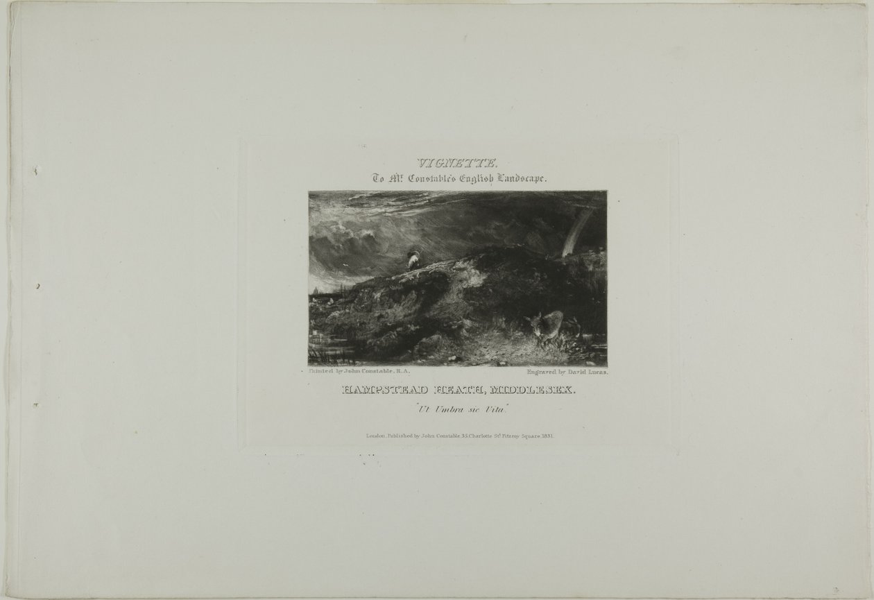 Vignette zu Mr. Constables Englische Landschaft. Hampstead Heath Middlesex. Ut Umbra sic Vita von David Lucas