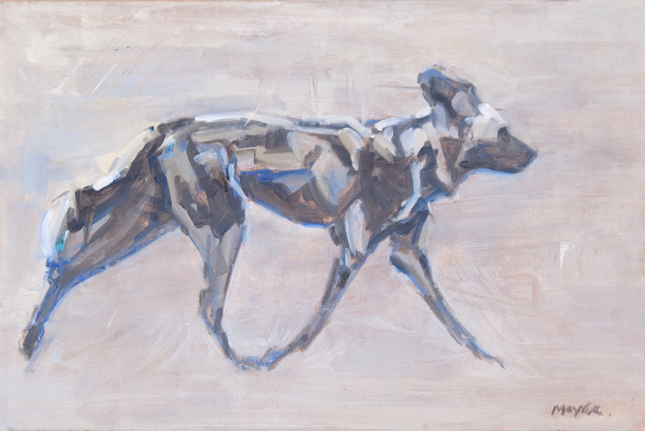 Afrikanischer Wildhund von David Mayer