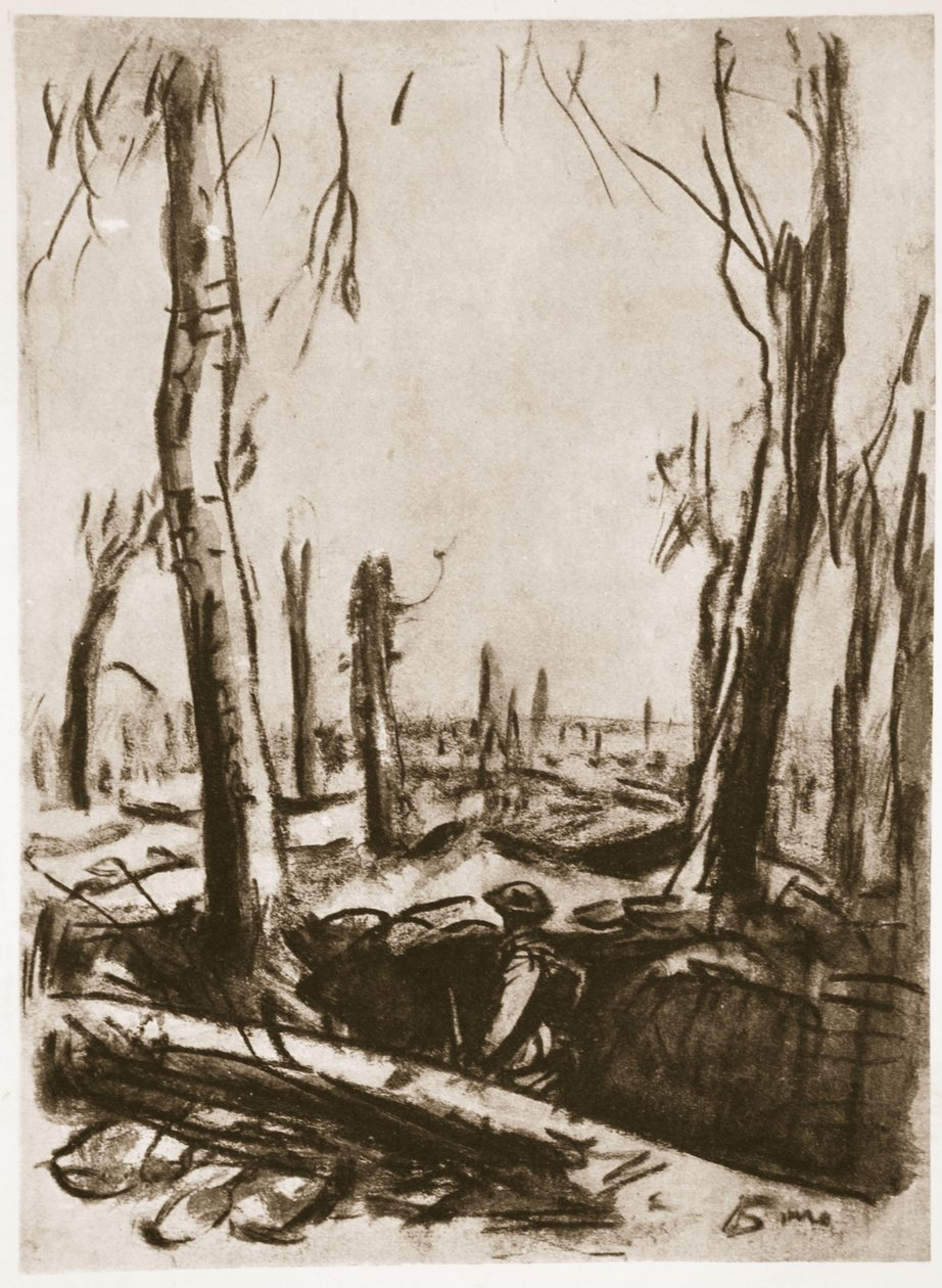 Zerstörte Schützengräben im Mametz-Wald, Illustration aus 