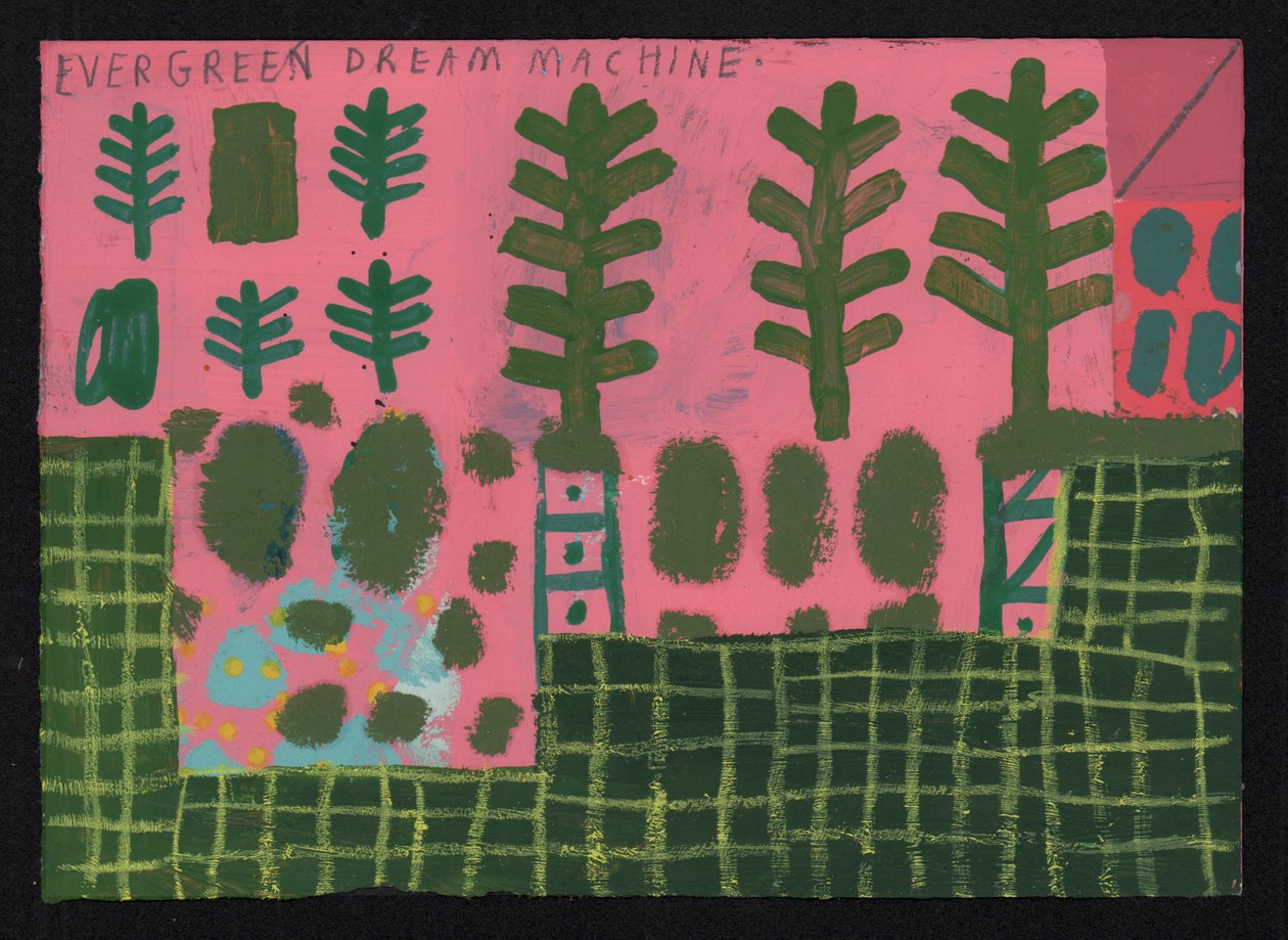 Immergrün, 2023 von David Shillinglaw