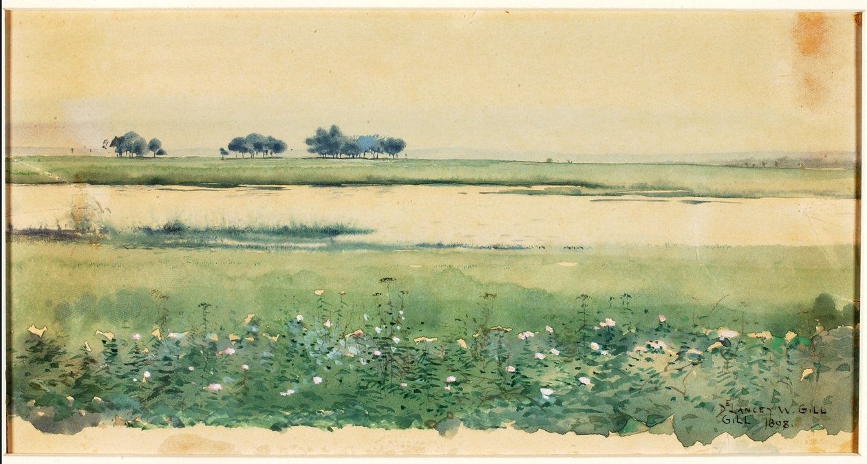 (Landschaft mit Sümpfen) von De Lancey Gill