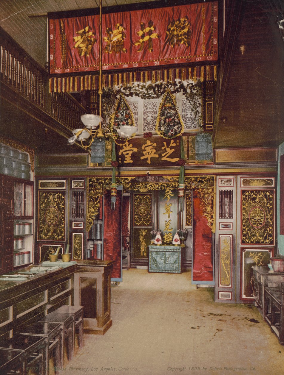 Chinesische Apotheke, Los Angeles, Kalifornien von Detroit Photographic Co.