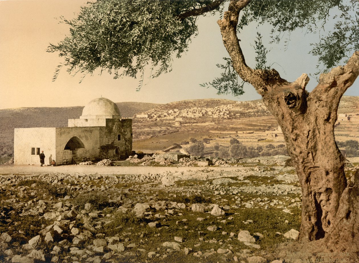 Grab von Rachel, Jerusalem, Heiliges Land, ca. 1890-ca. 1900 von Detroit Photographic Co.