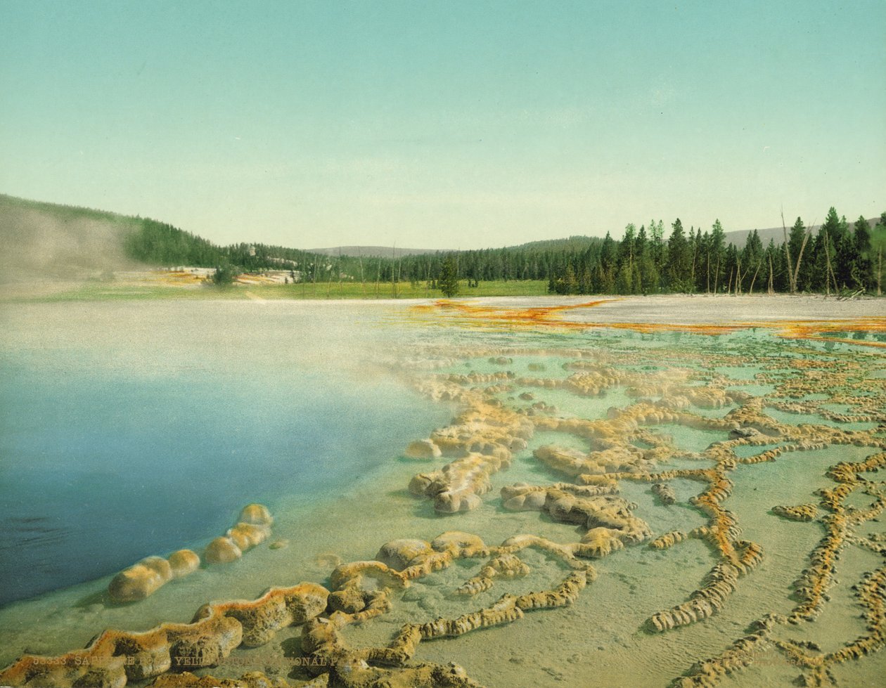 Saphir-Pool, Yellowstone Nationalpark, ca. 1902 von Detroit Photographic Co.