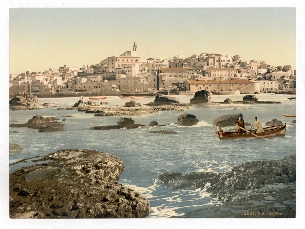 Vom Meer aus, Jaffa, Heiliges Land, Israel, ca. 1890-1900 von Detroit Publishing Co.
