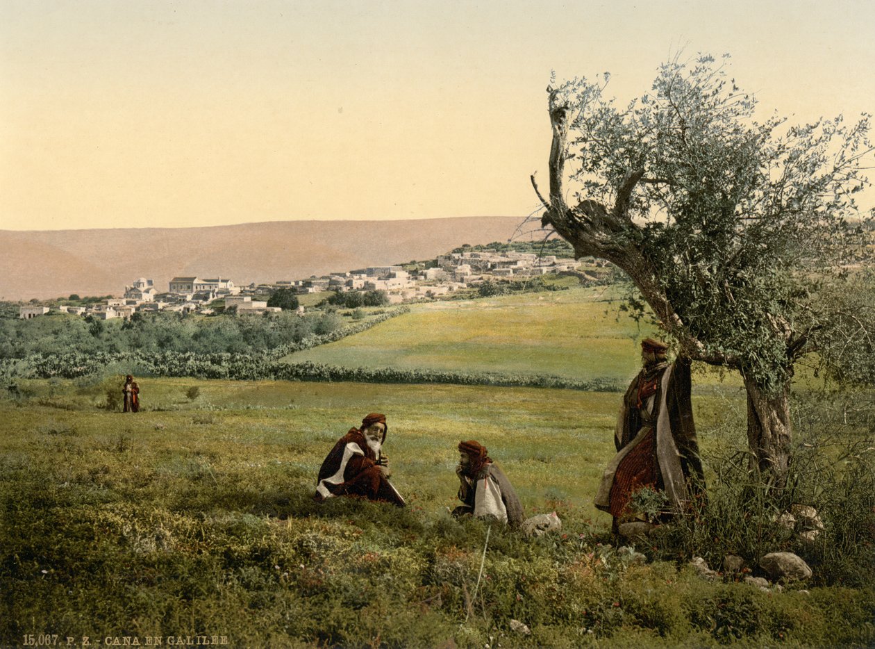 Gesamtansicht, Kana in Galiläa, Heiliges Land, ca. 1890-1900 von Detroit Publishing Co.