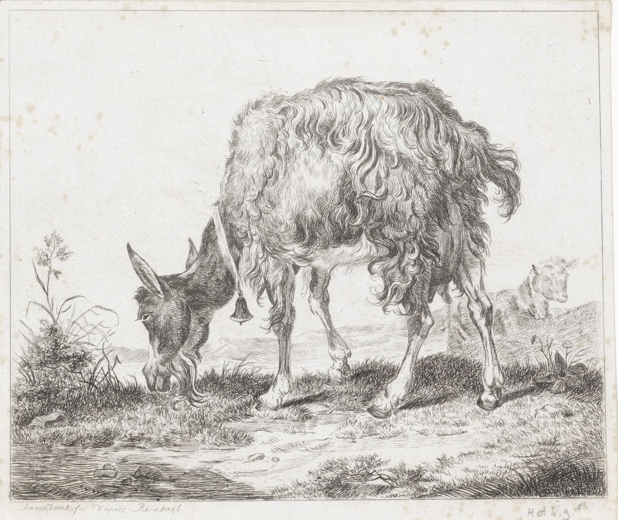 Weidende Ziege mit Glocke von Diederik Jan Singendonck