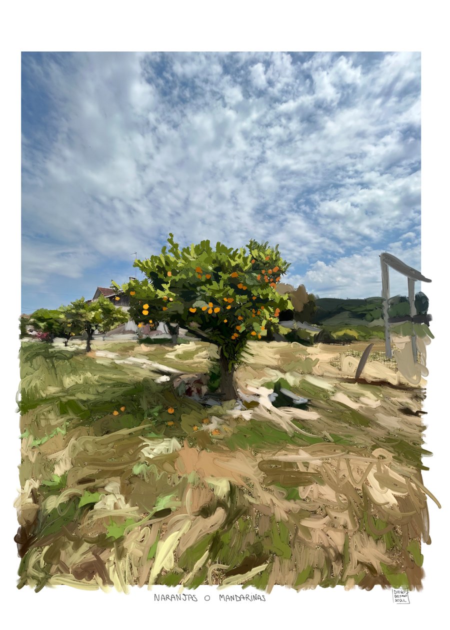 Orangen oder Mandarinen von Diego Beyro