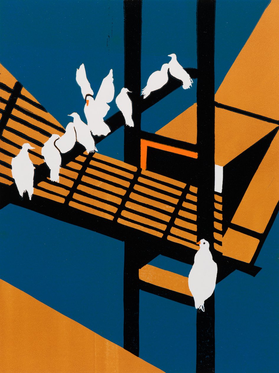 Hafentauben von Dione Verulam