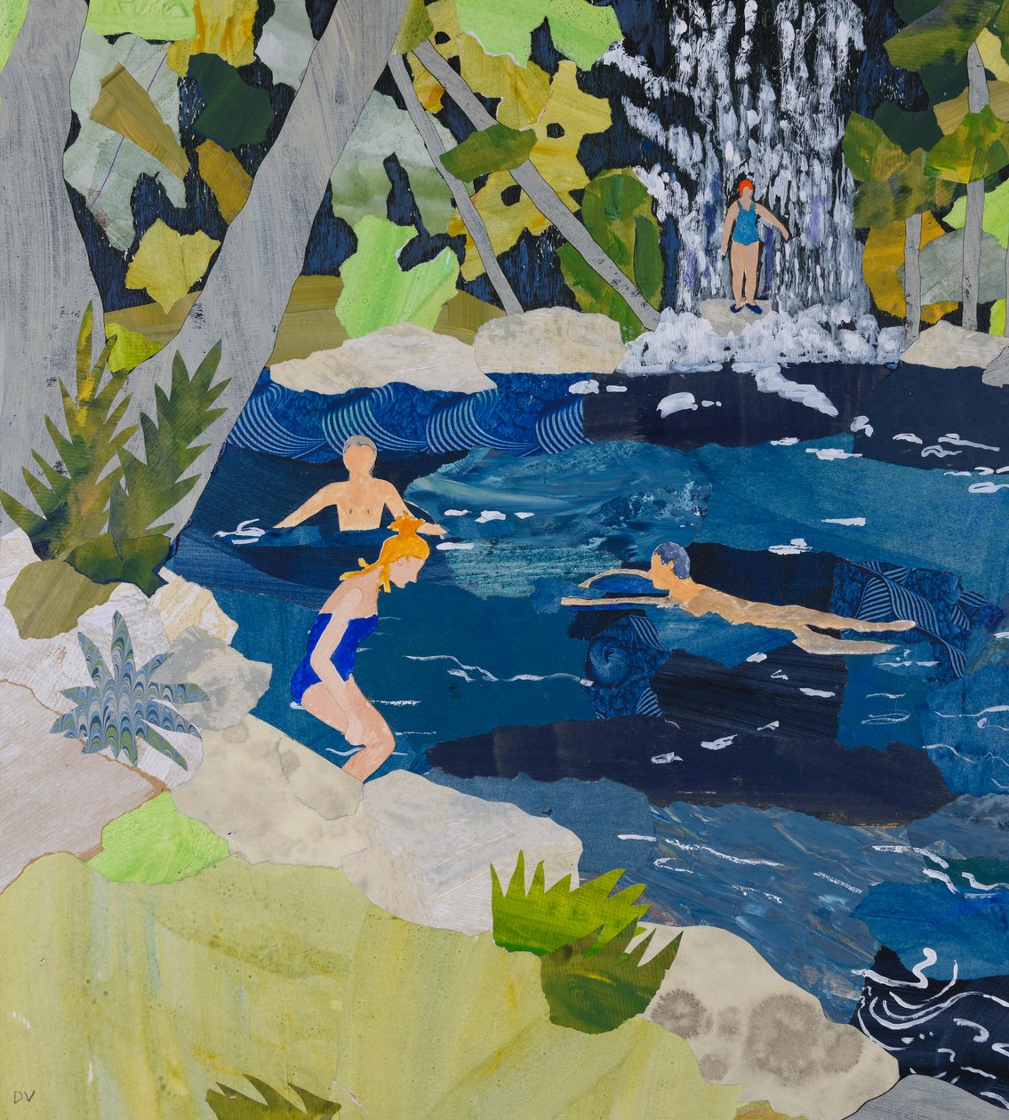 Wilde Schwimmer, Brasilien von Dione Verulam