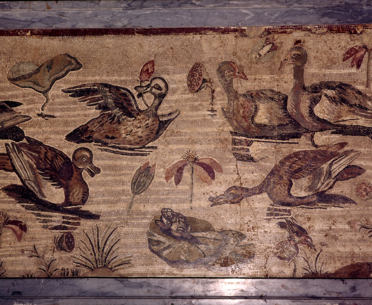 Römisches Mosaik aus Pompeji von Enten und Fröschen in einem Wassergarten von Dioscurides of Samos