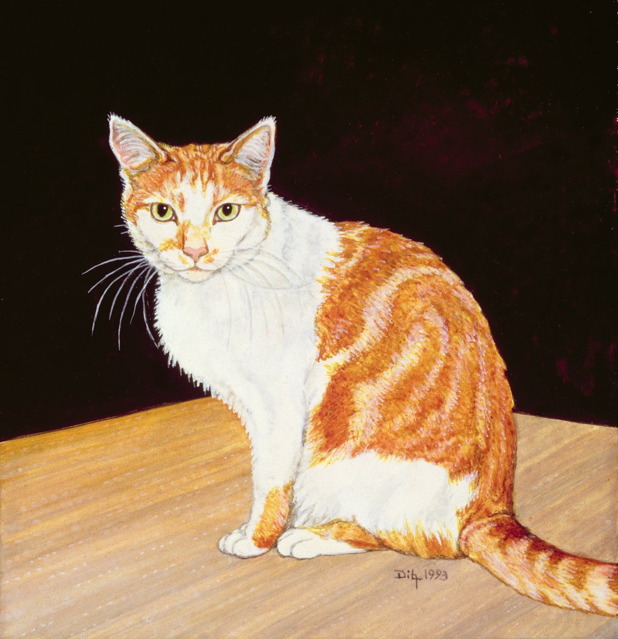 Thomas von Ditz