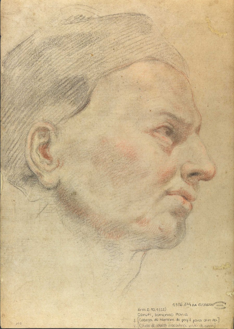 Kopf eines Mannes im Profil nach rechts von Domenico Maria Canuti
