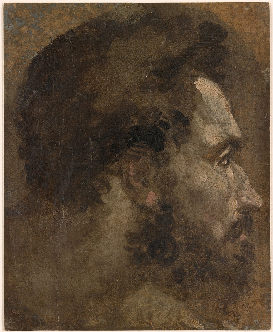 Beccafumi - Kopf eines bärtigen Mannes im Profil nach rechts, ca. 1530-1535 von Domenico Beccafumi