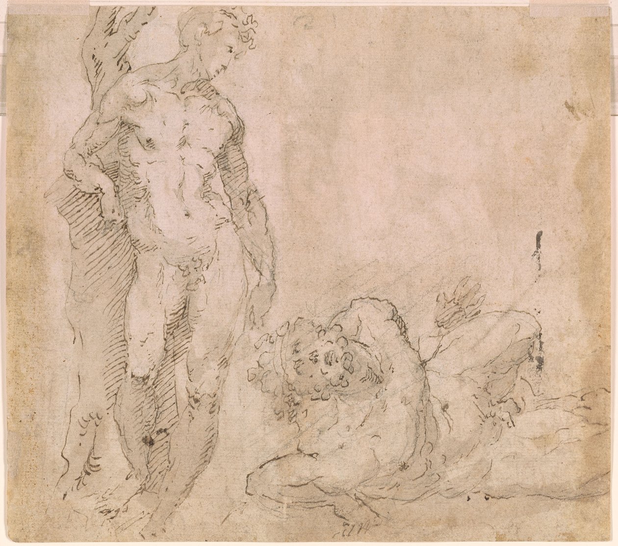 Beccafumi - Verso Männlicher Akt, der sich gegen einen Baumstamm lehnt, und ein liegender männlicher Akt mit zurückgeworfenem Kopf, ca. 1530-1540 von Domenico Beccafumi
