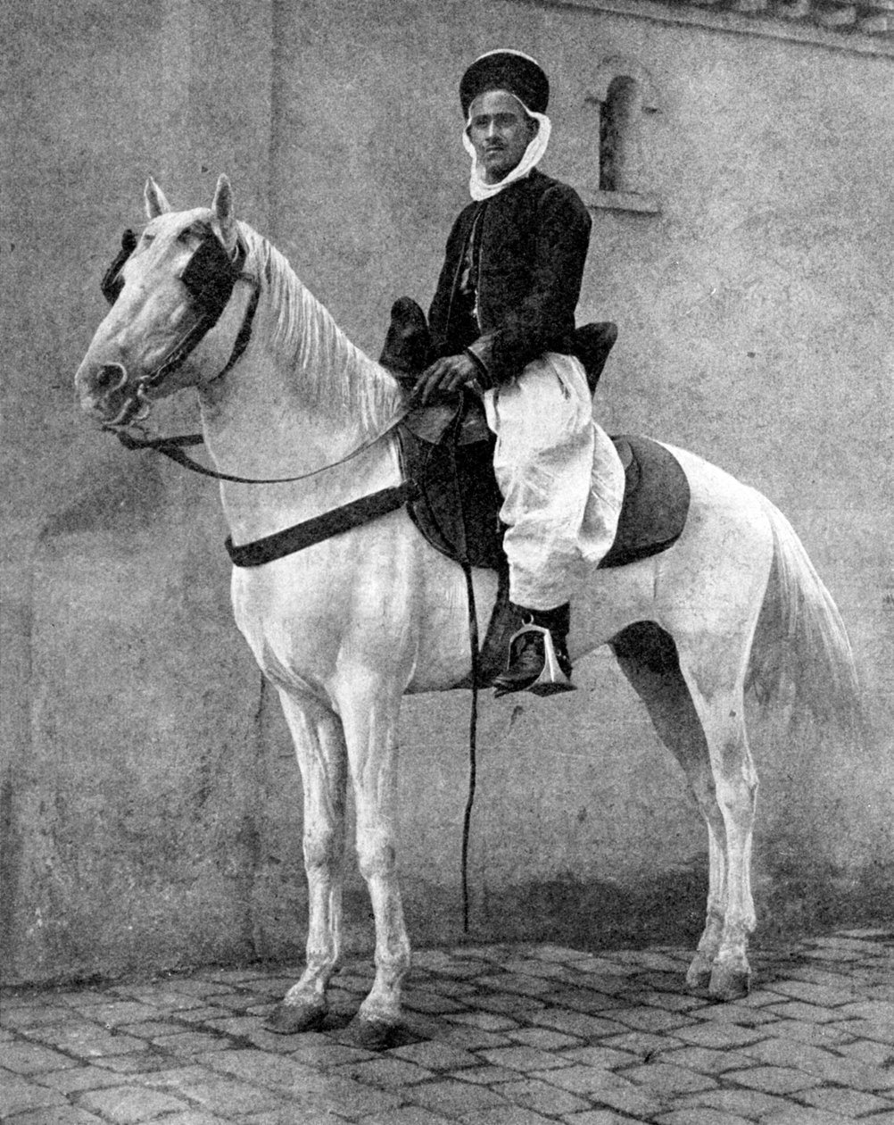 Berberreiter der französischen Armee, 1936 von Donald McLeish