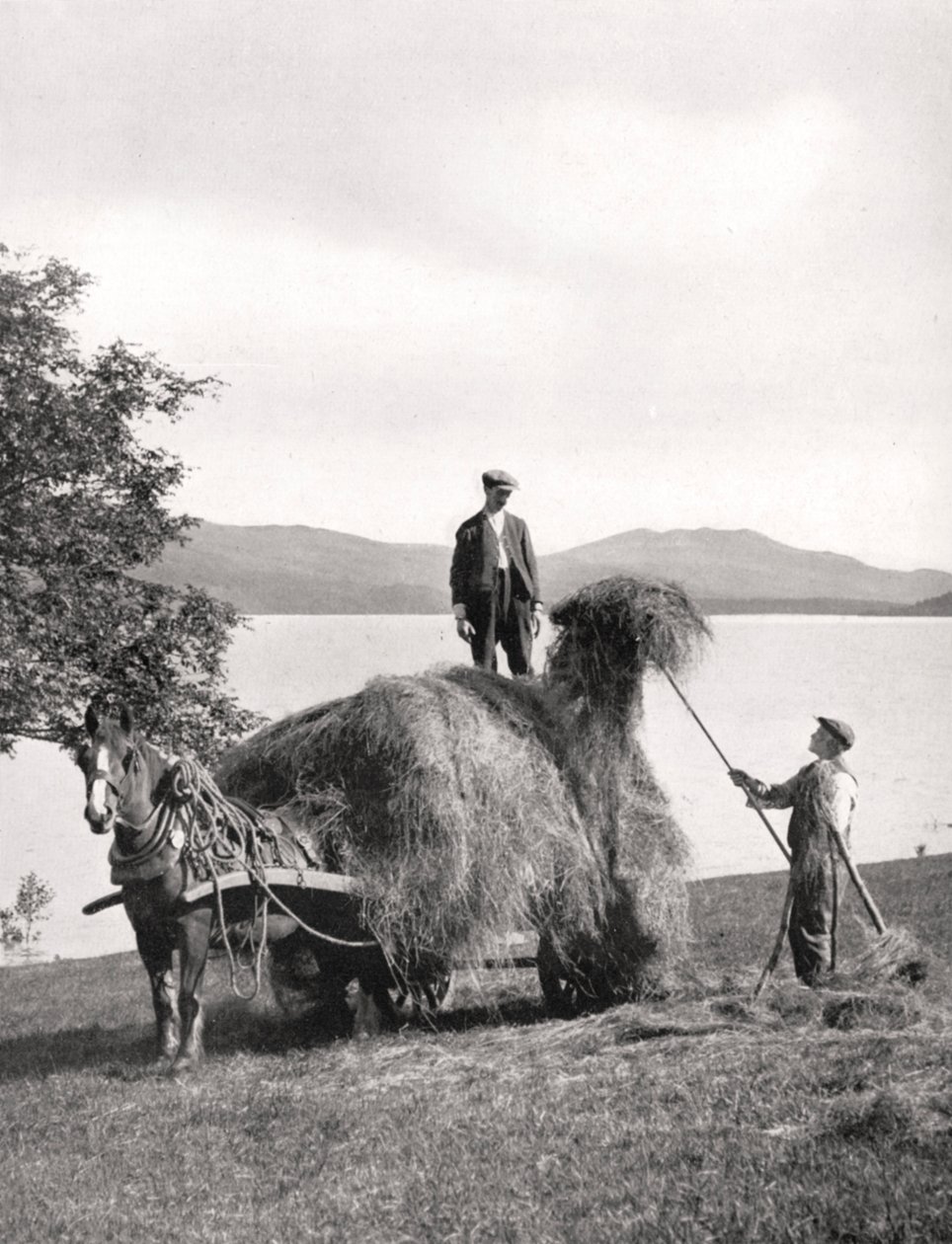 Heu auf einen Wagen laden am Ufer des Loch Lomond, Schottland, 1924-1926 von Donald McLeish