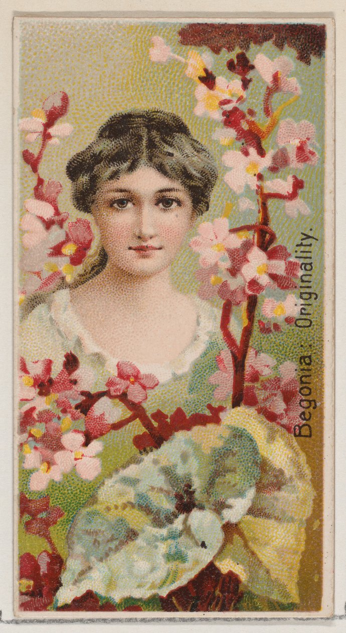 Begonie: Originalität, aus der Serie Floral Beauties and Language of Flowers N75 für Du..., 1892 von Donaldson Brothers