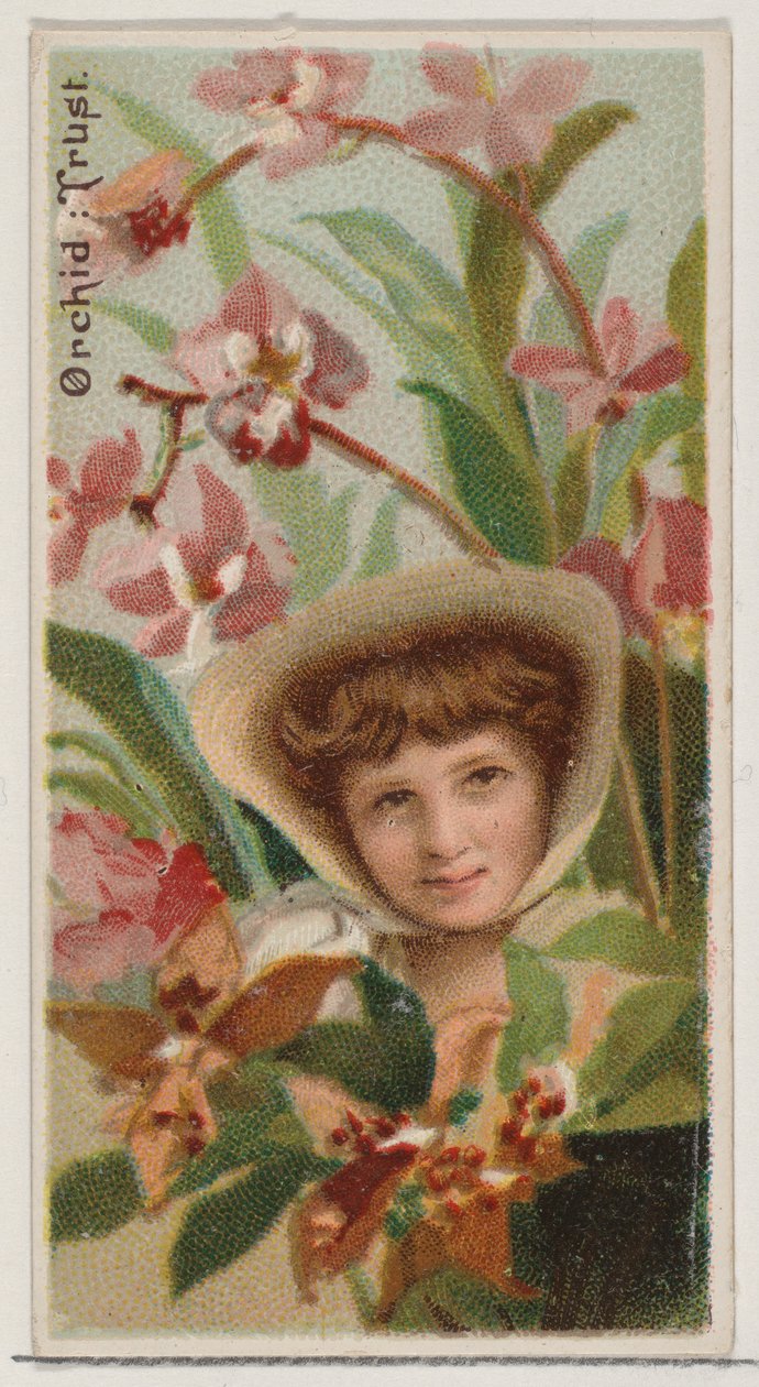 Orchidee: Vertrauen, aus der Serie Floral Beauties and Language of Flowers N75 für Duke, 1892 von Donaldson Brothers