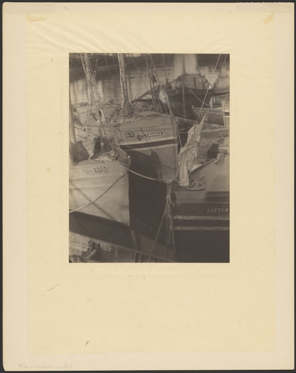 [Hafen, überfüllt mit segelbestückten Fischerbooten] von Doris Ulmann