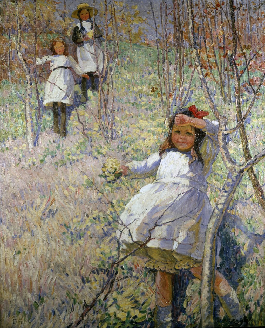 Primeln pflücken von Dorothea Sharp