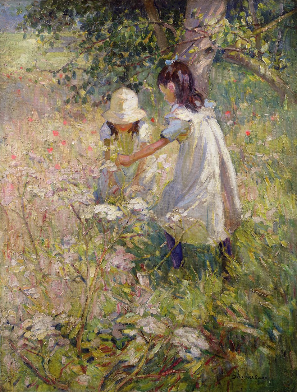 Wilde Blumen pflücken von Dorothea Sharp