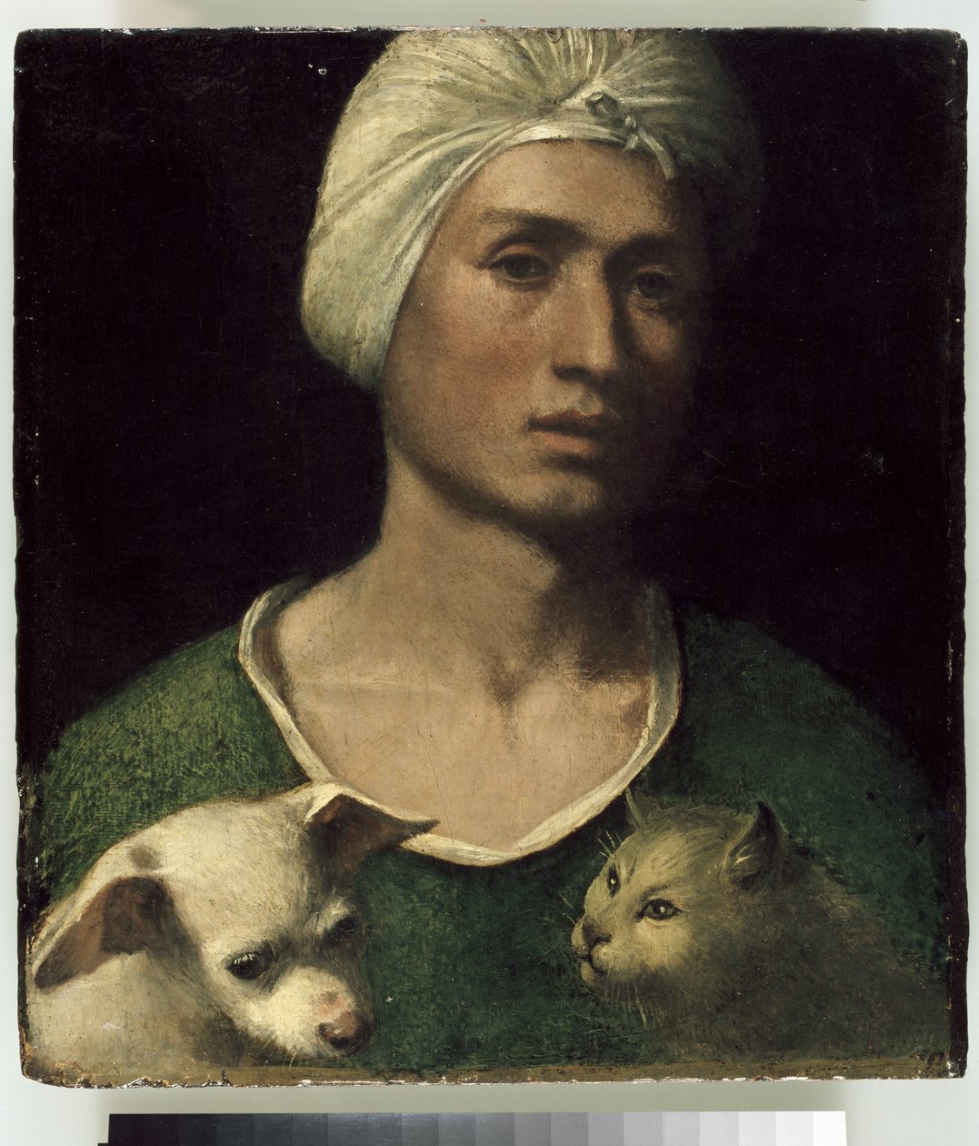 Porträt eines jungen Mannes mit einem Hund und einer Katze von Dosso Dossi