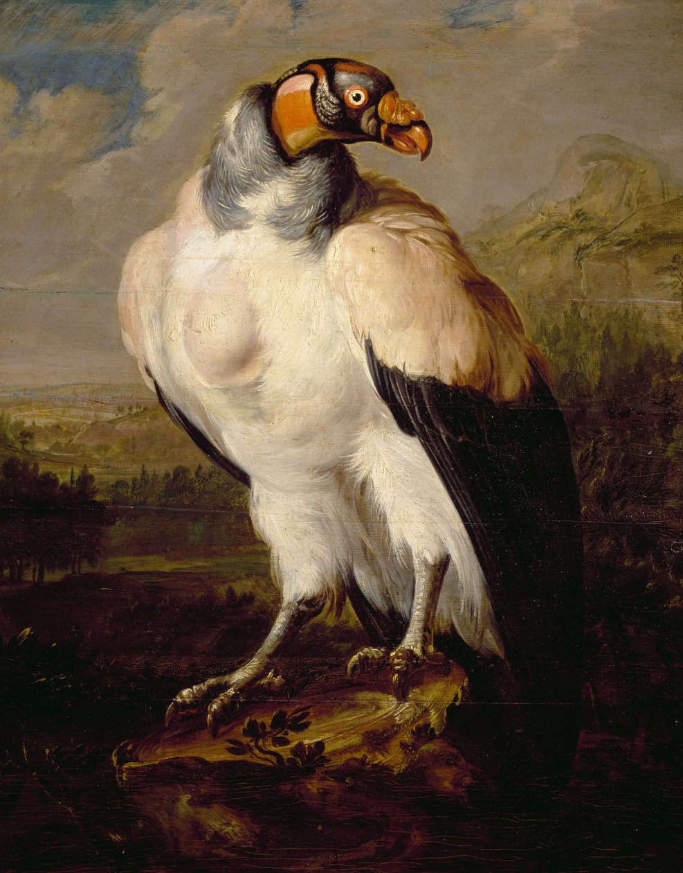 Königsgeier, Gemälde von unbekanntem niederländischen Künstler, Niederlande von Dutch School
