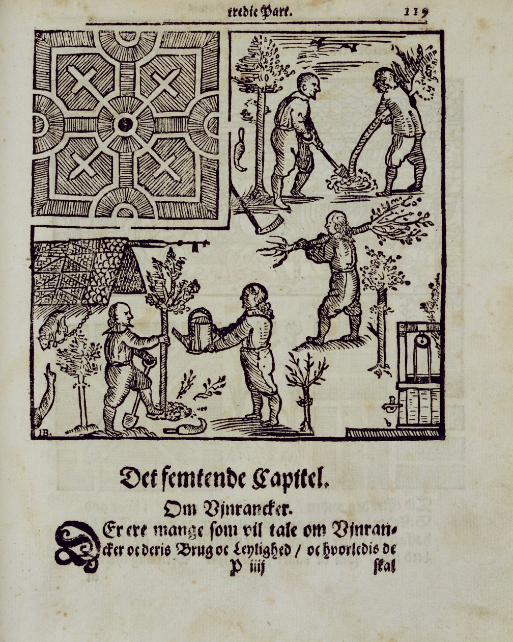 Bäume pflanzen, aus Der niederländische Gärtner von Johann van der Groen, veröffentlicht 1699 von Dutch School