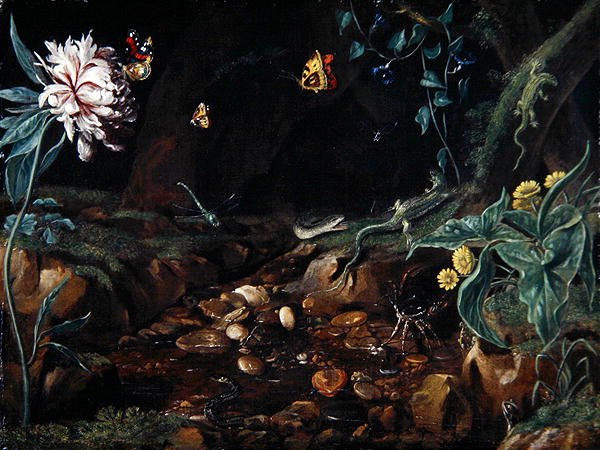 Bach in einer Schlucht mit Blumen und Reptilien von Dutch School