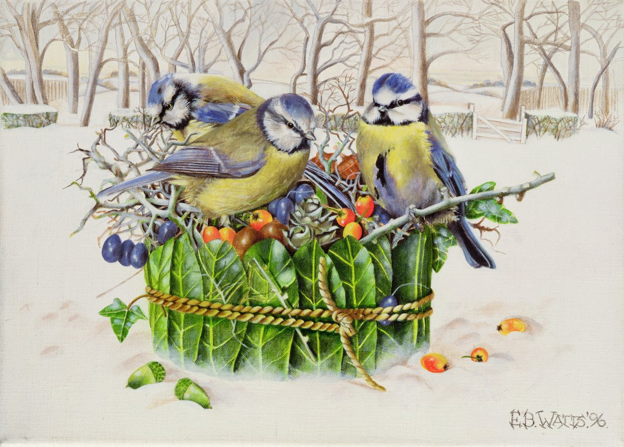 Blaumeisen im Blätternest, 1996 von E.B. Watts