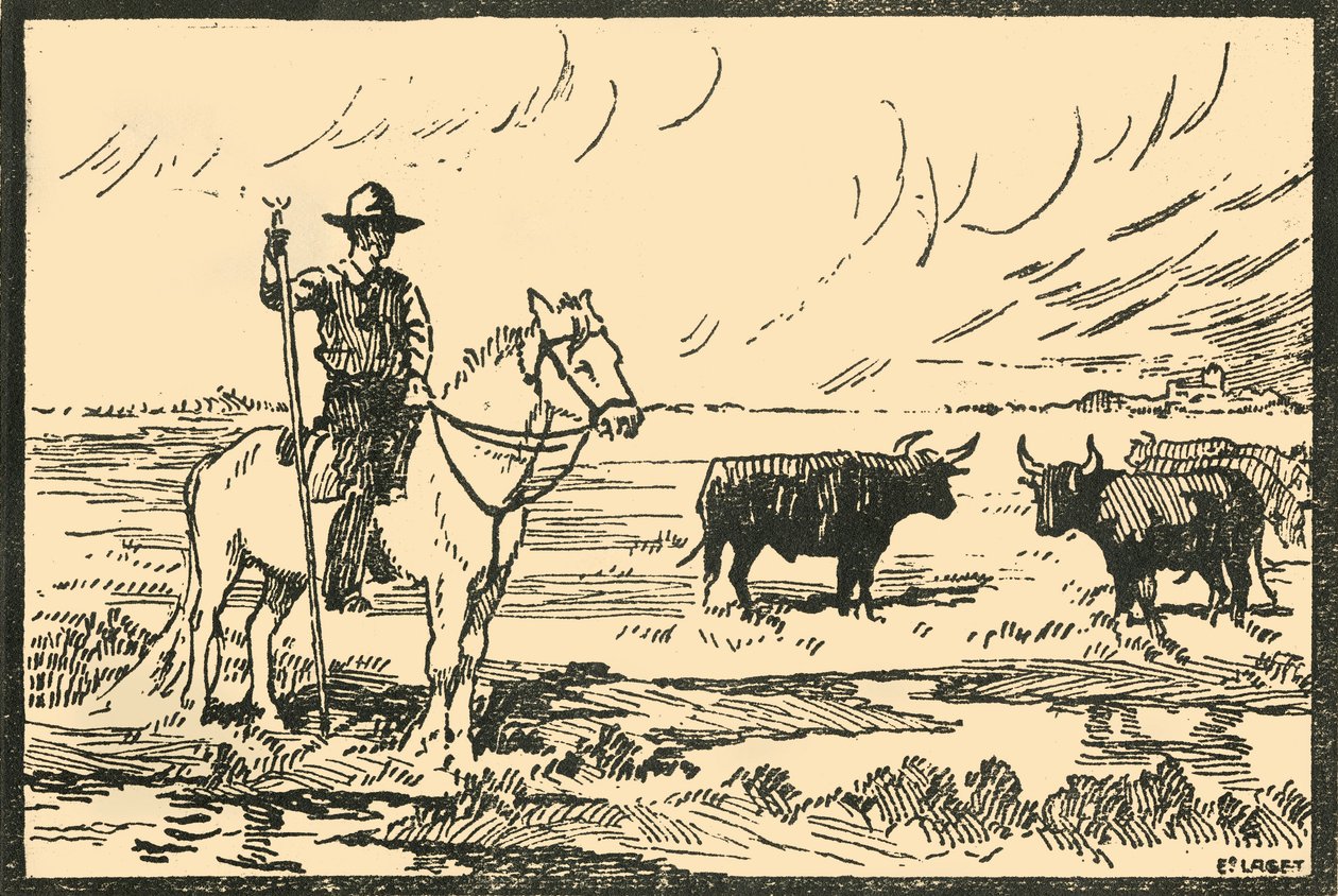 Landschaft von Camargue von E Laget