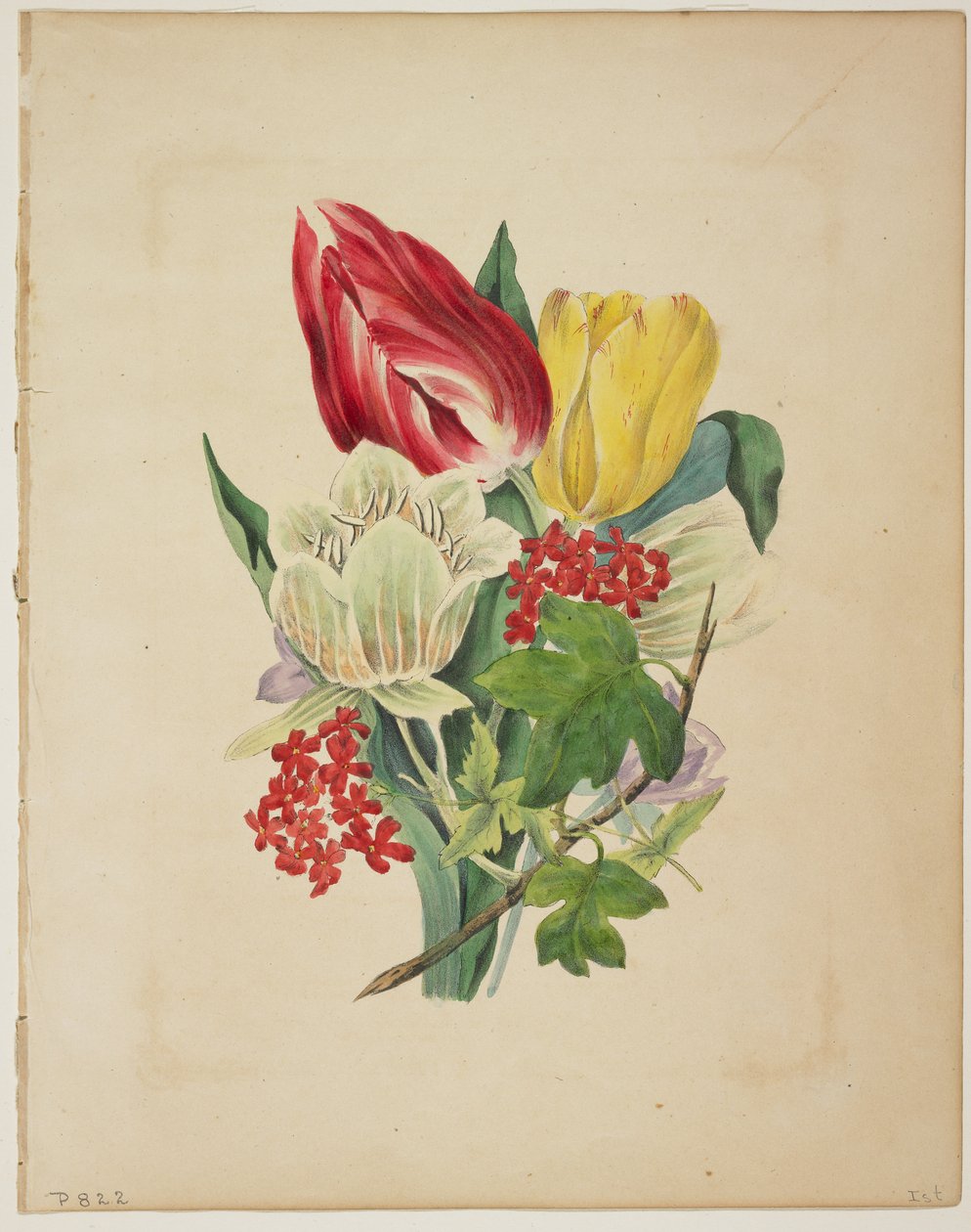 Tulpenstrauß, aus Floras Wörterbuch, 1838 von E. W. Wirt