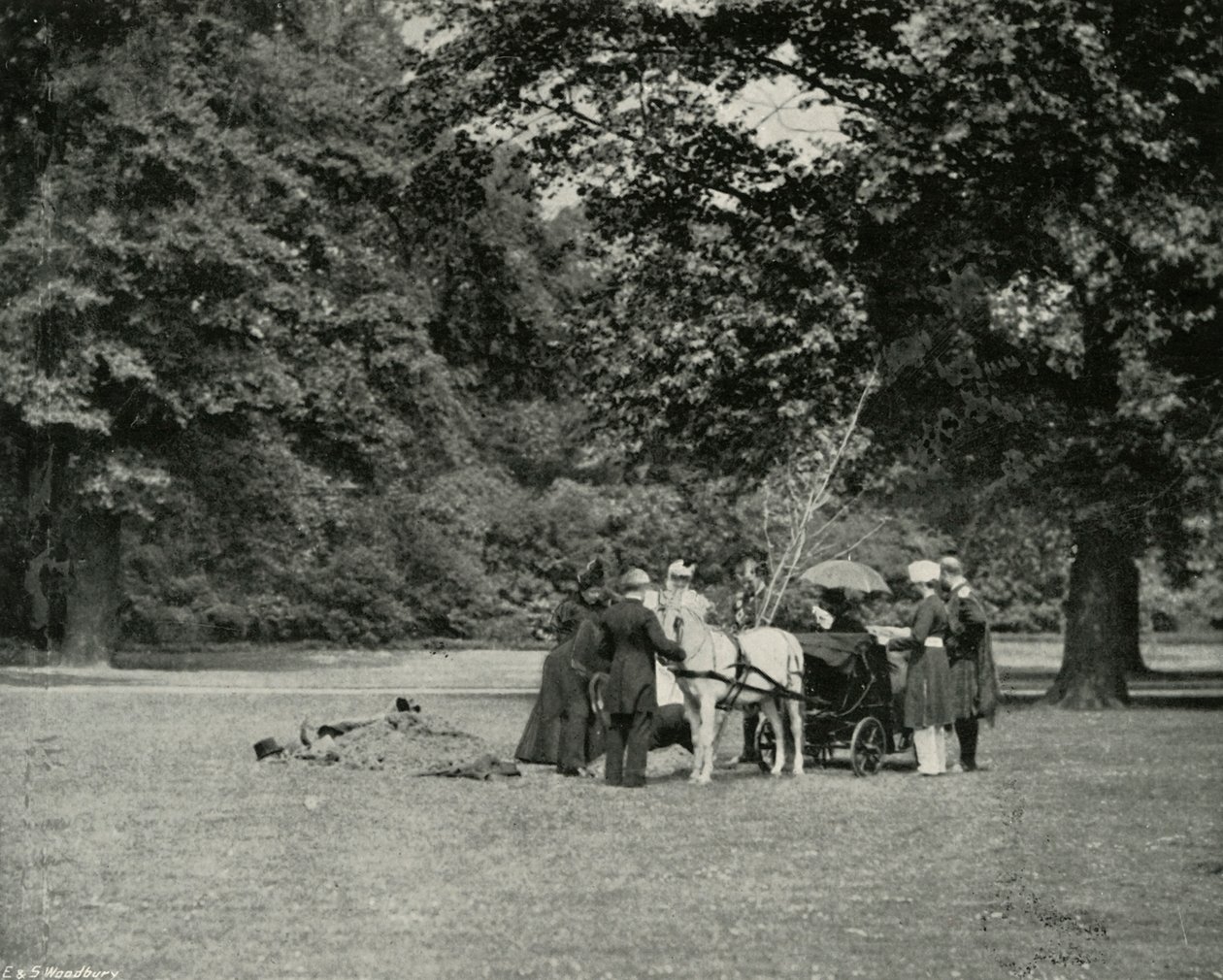 Ihre Majestät pflanzt einen Baum im Garten des Buckingham Palace als Gedenkstätte des Jubiläums, Juni von E. and S. Woodbury