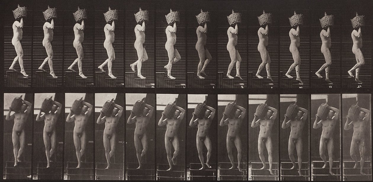 Tierbewegung, Tafel 136 von Eadweard Muybridge