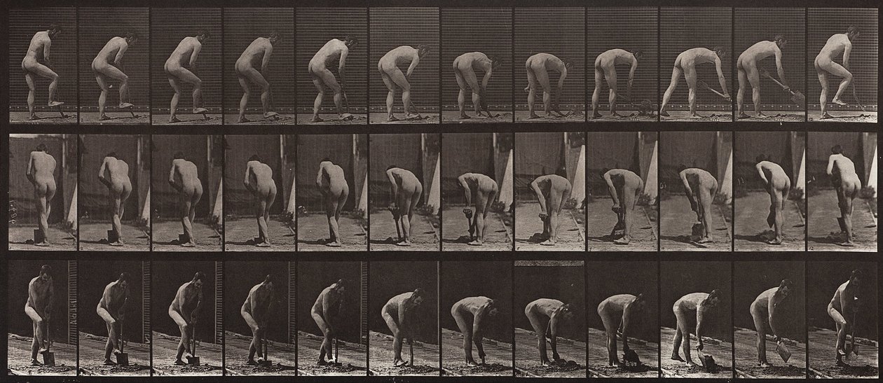 Tierbewegung, Tafel 388 von Eadweard Muybridge