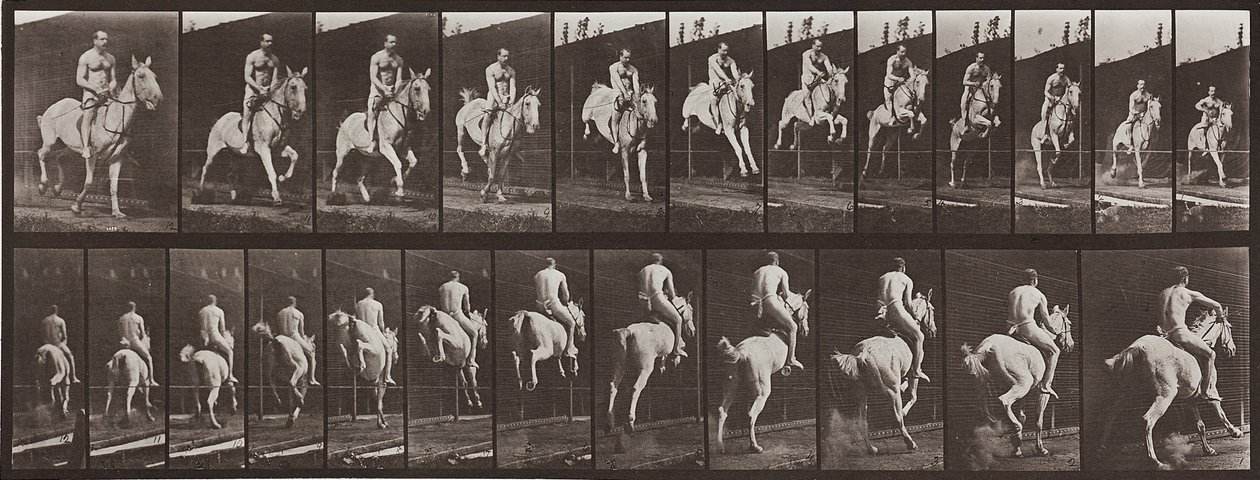 Tierbewegung, Platte 646 von Eadweard Muybridge