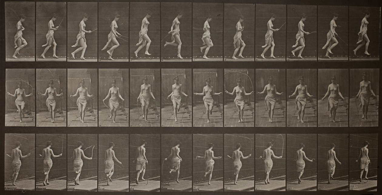 Tierbewegung, Platte 174 von Eadweard Muybridge