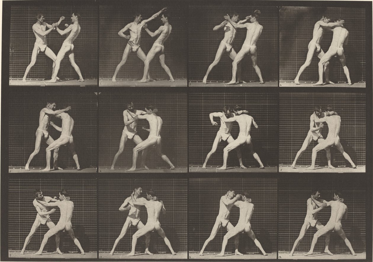 Tafel Nummer 340. Boxen, offene Handschuhe, 1887 von Eadweard Muybridge