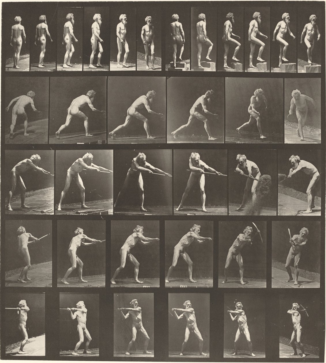 Tafel Nummer 521. A: Gehen. B: Stufe hinaufsteigen. C: Diskus werfen. D: Schaufel benutzen..., 1887 von Eadweard Muybridge