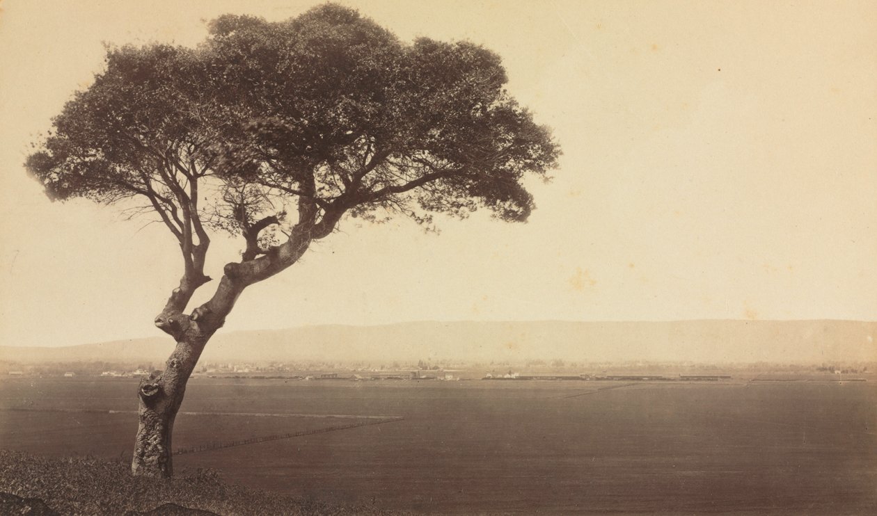 Unbetitelte Landschaft bei Watsonville, Kalifornien, ca. 1879 von Eadweard Muybridge
