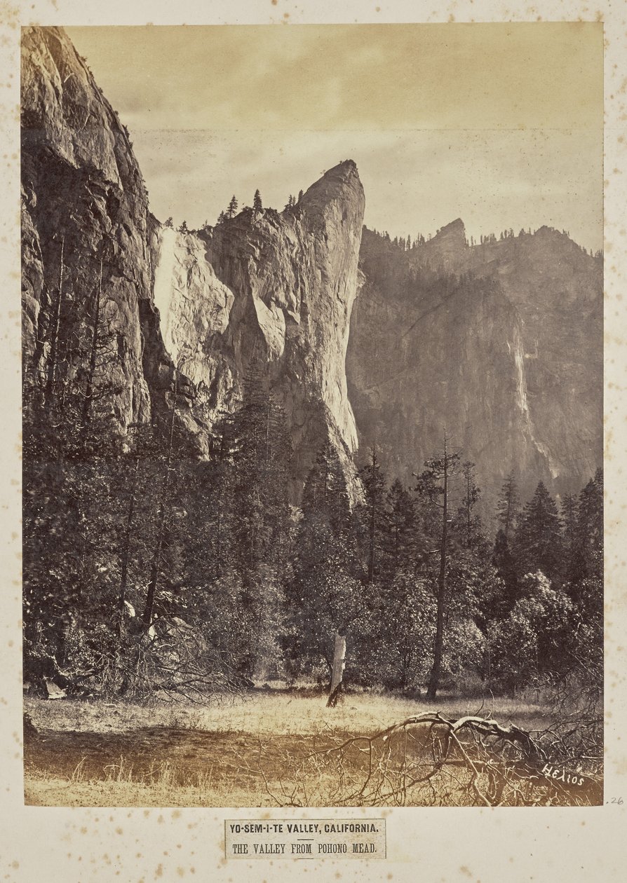 Yo-Sem-i-te Tal, Kalifornien. Das Tal von Pohono Meadows von Eadweard J. Muybridge