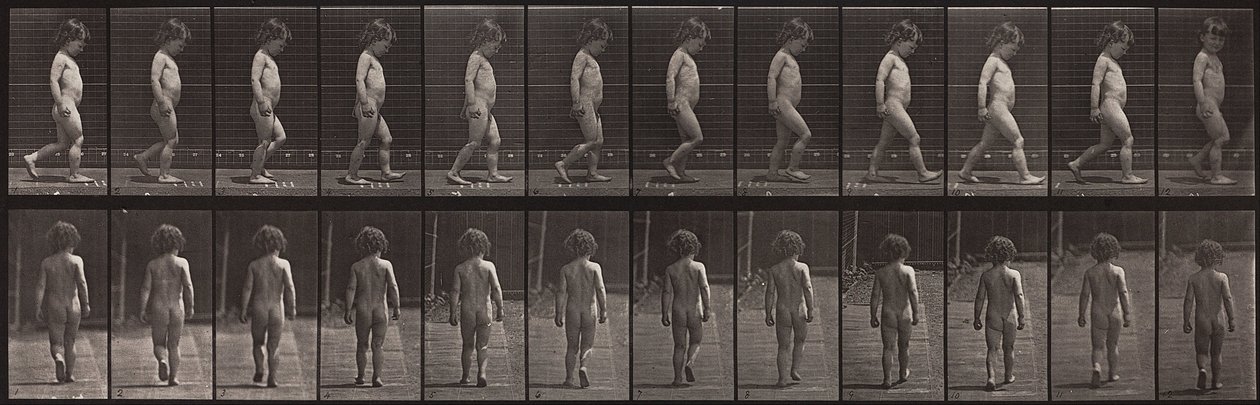 Tierbewegung, Platte 467 von Eadweard Muybridge