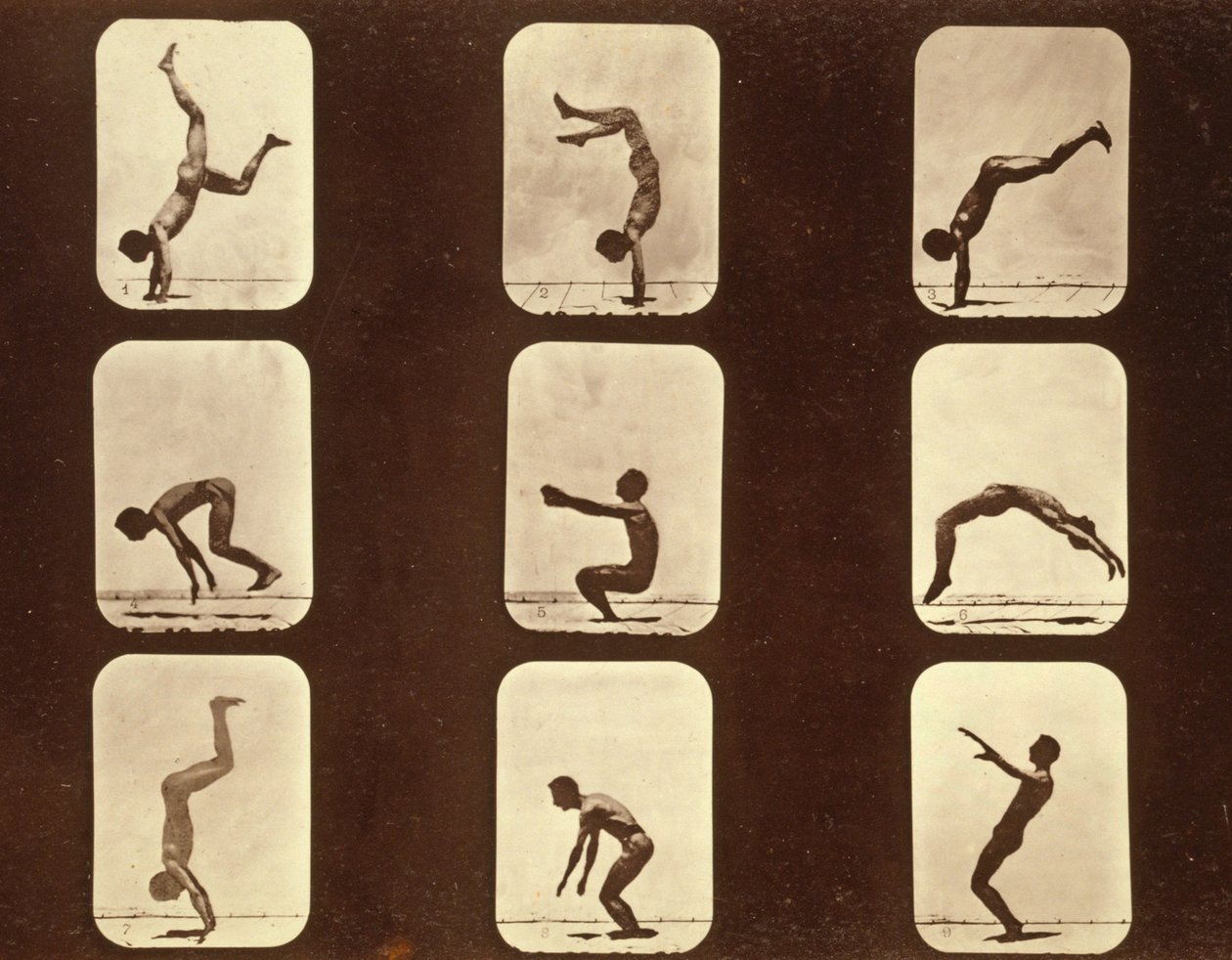 Athleten. Flip flap 