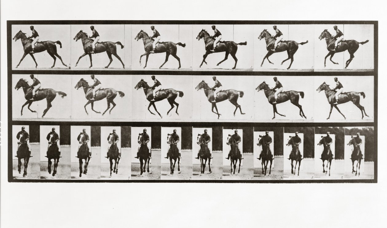 Pferd und Reiter, Platte 621 aus Animal Locomotion von Eadweard Muybridge