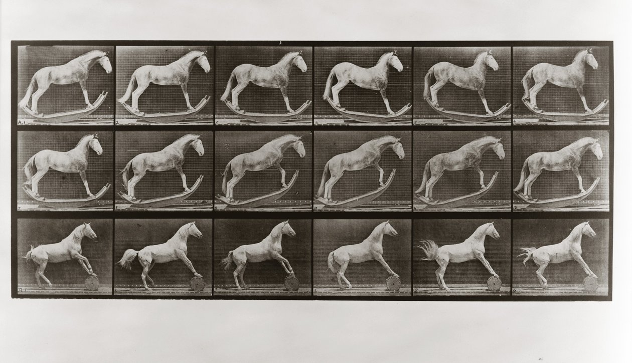 Pferd auf Schaukel und Pferd rollt ein Fass, Platte 649 aus Animal Locomotion von Eadweard Muybridge