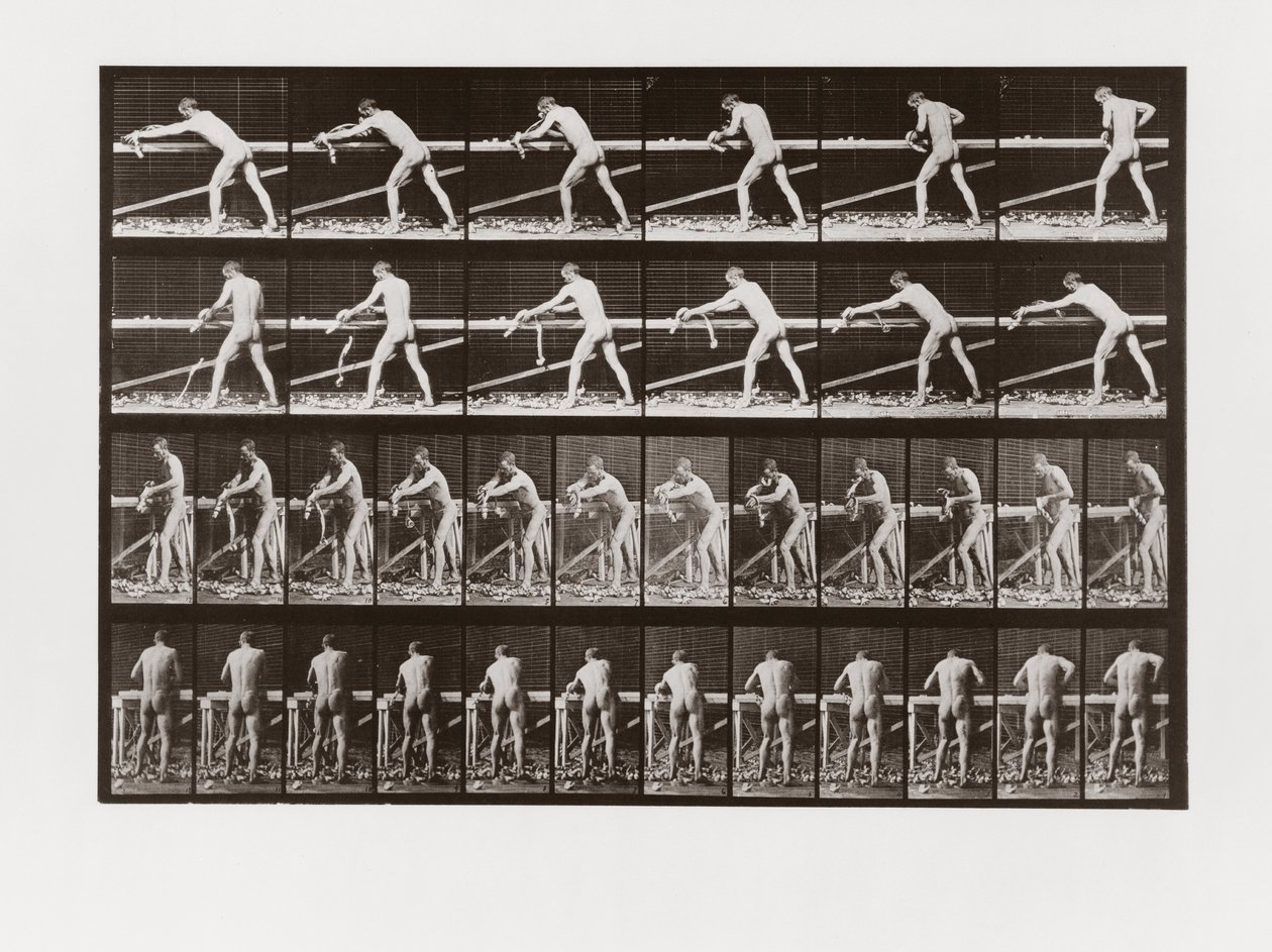 Mann hobelt Holz, Platte 379 aus Animal Locomotion von Eadweard Muybridge