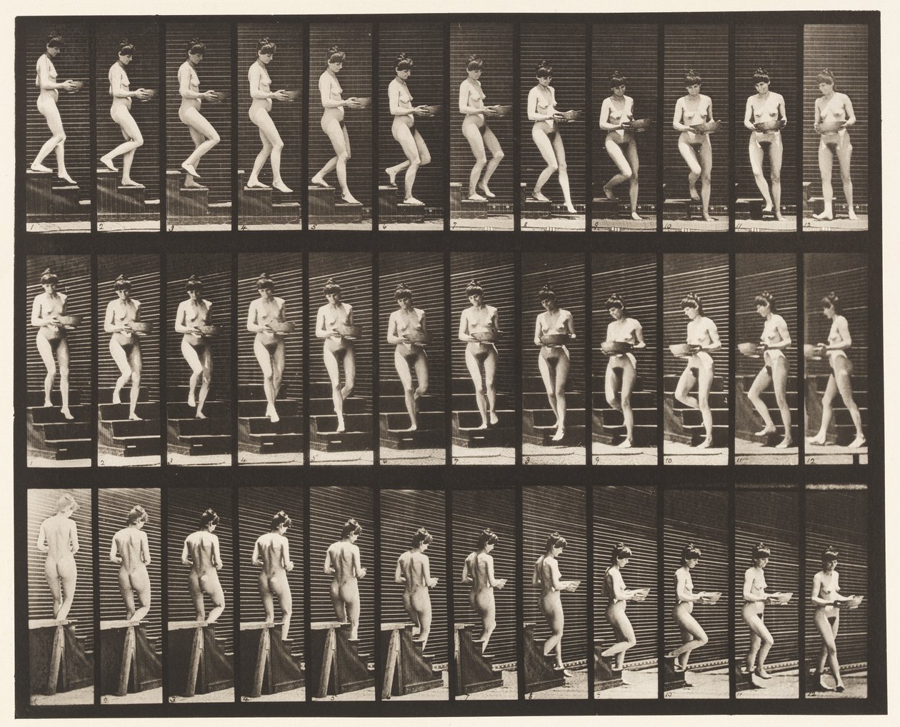 Tafel 144. Treppen hinabsteigen; Becken in den Händen drehend von Eadweard Muybridge