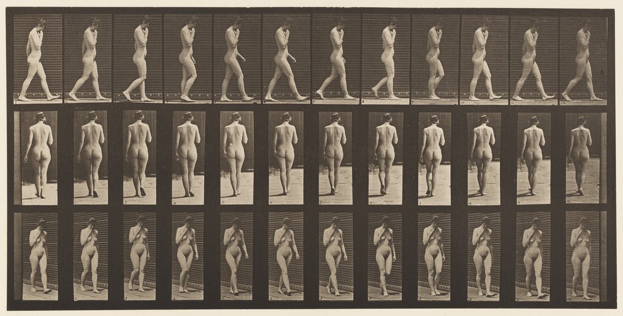 Tafel 14. Gehen, rechte Hand am Kinn, 1872-1885 von Eadweard Muybridge
